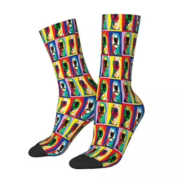 Чорапи PupperNelson в стил поп-арт, мъжки и дамски летни чорапи с принтом